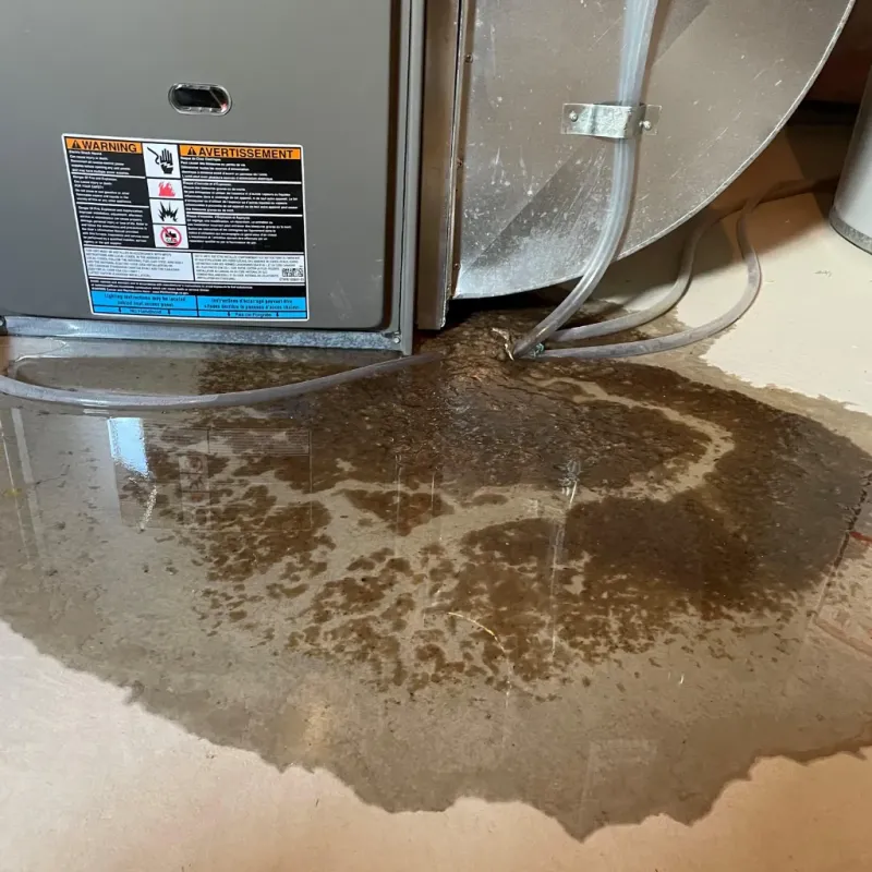 Appliance Leak Cleanup in Ware Shoals, SC